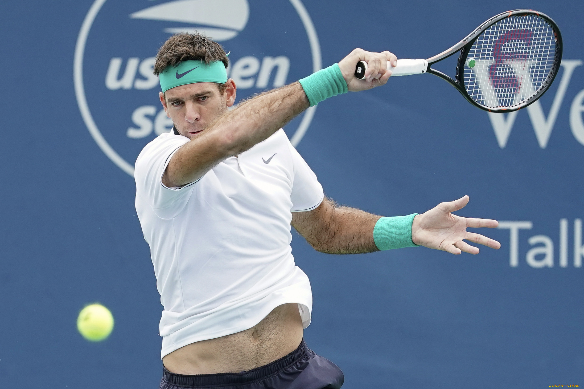 , , juan, martin, del, potro